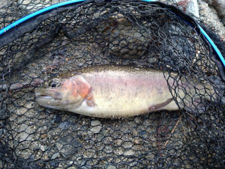 今年最後の釣り
